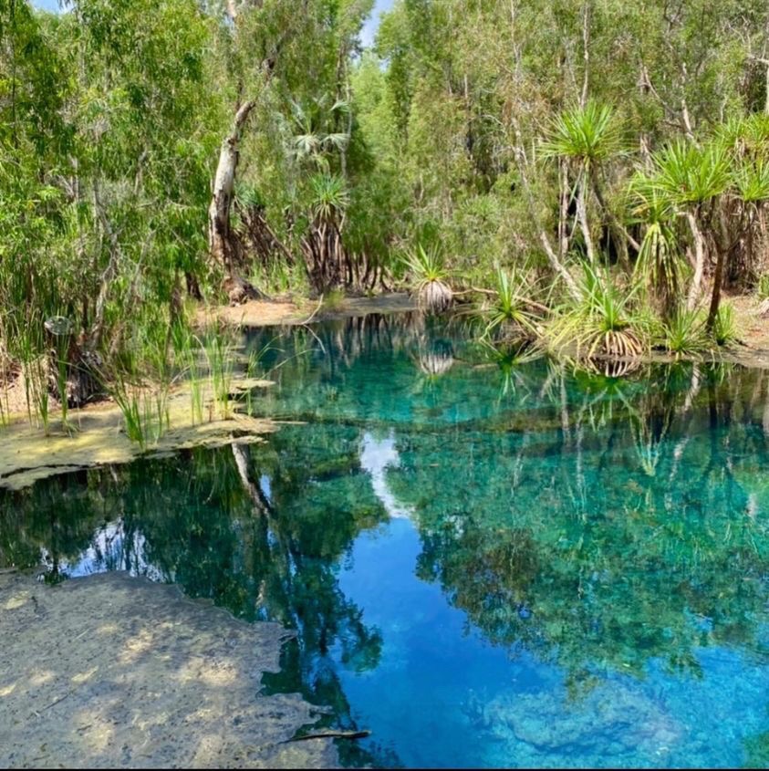 landscape of water and green foliage surrounding Bitter Springs