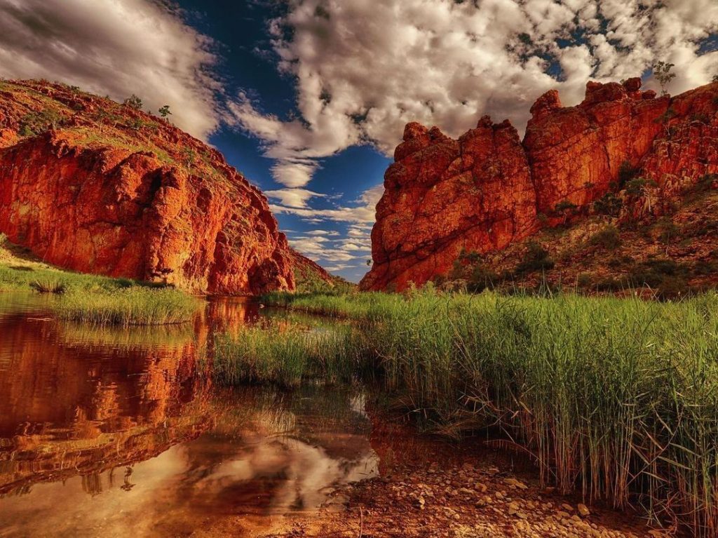 A rocky path with green long grass surrounding a puddle leading into Glen Helen Gorge Northern Territory with a big blue sky dotted with white clouds