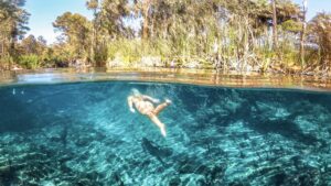 woman swimming in crystal clear water elsey national park mataranka bitter springs tour