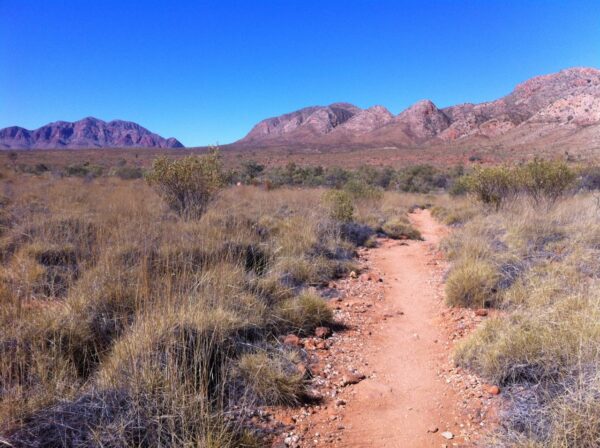 Sand & pebbles road inside the field at Ormiston Gorge