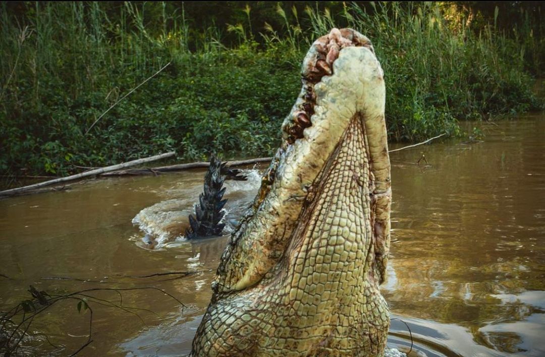 7 Crocwise Tips for Staying Safe in the Northern Territory