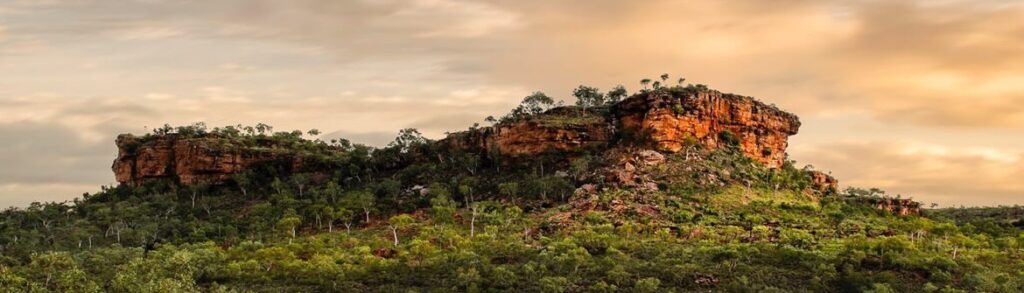 Judbarra Gregory National Park rock escarpment surrounded by trees with clouds northern territory