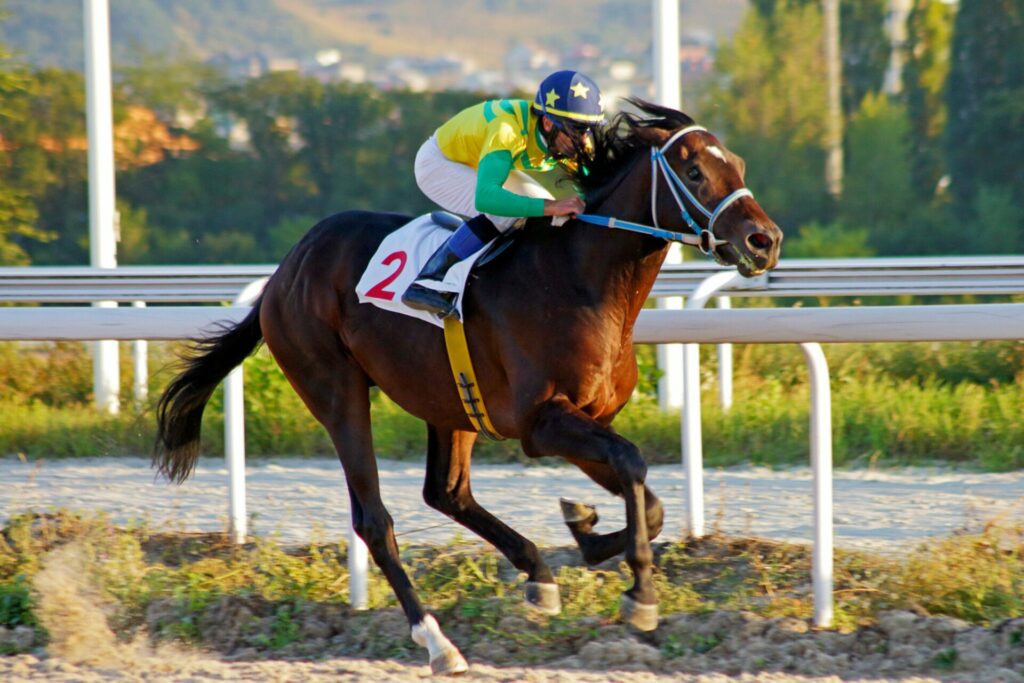 Untitled design 12 1