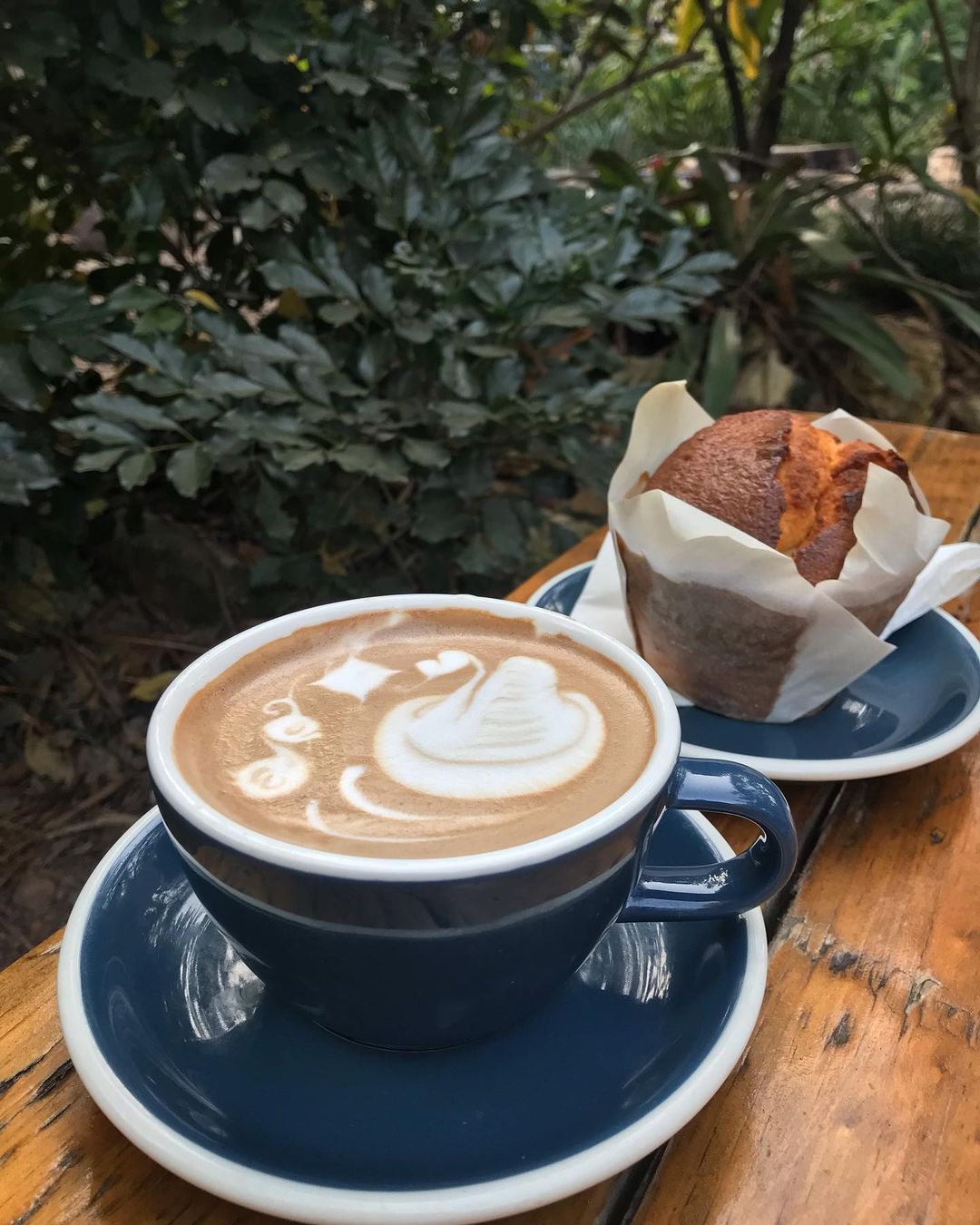 Darwin's Coffee Culture Indulge in the Top 5 Cafes for a Brew Fix Norther