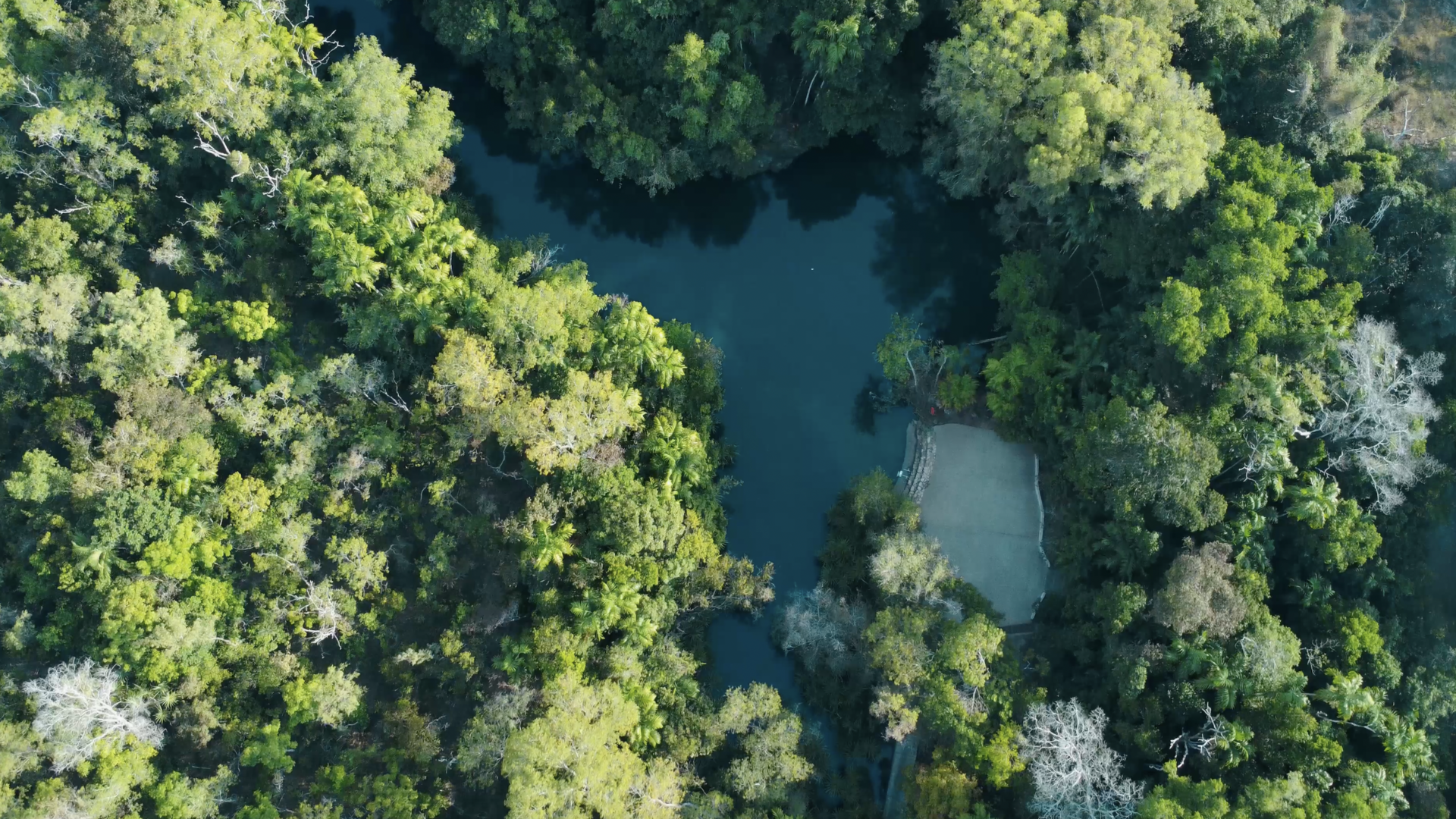 Berry Springs: The Best Swimming Spot Near Darwin