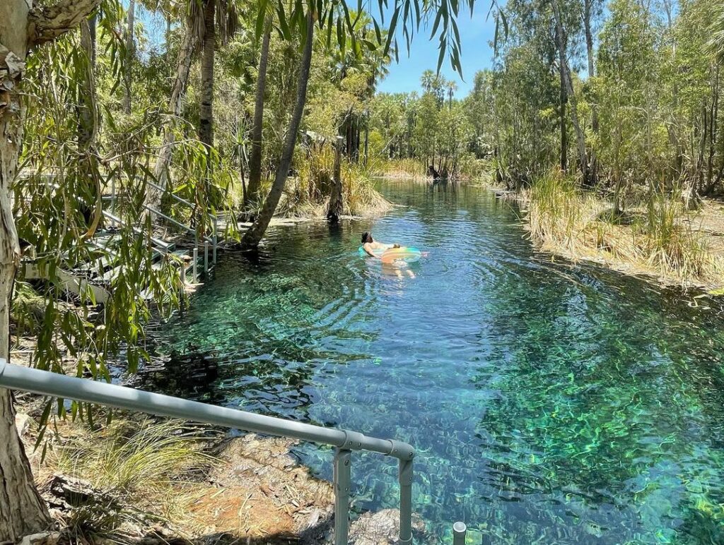 lots 276009748 1167590000674970 3006627101017435865 n