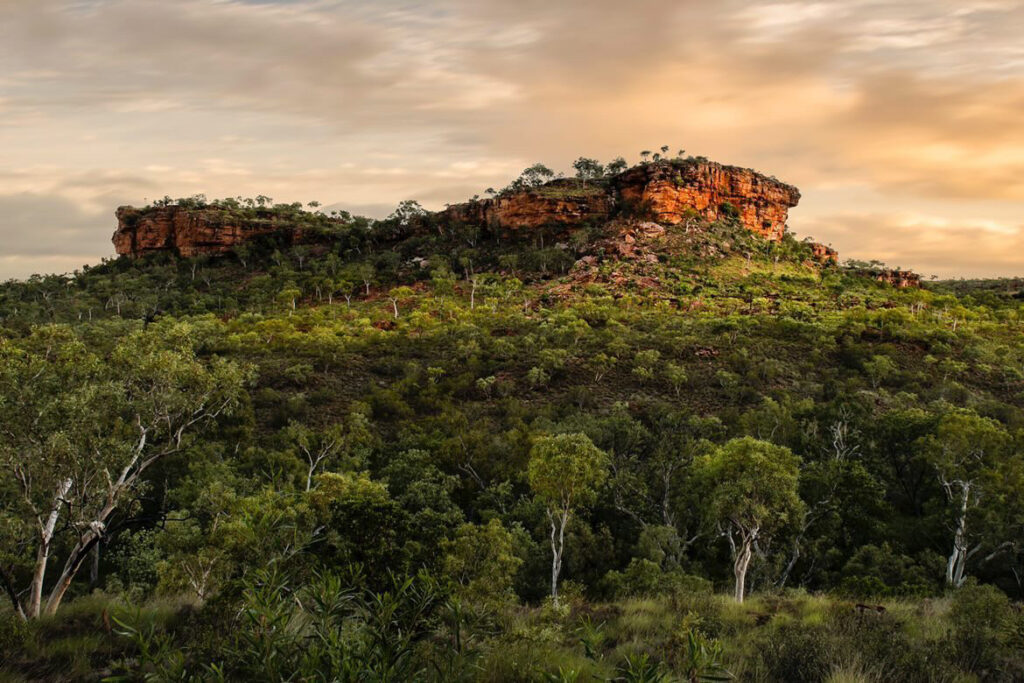 cliff structure in the horizon with lots of greenery in the forefront and cloudy skies at Judbarra National Park