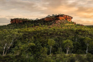 cliff structure in the horizon with lots of greenery in the forefront and cloudy skies at Judbarra National Park