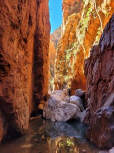 Picture of Standley Chasm in West MacDonnell Nationsl Park