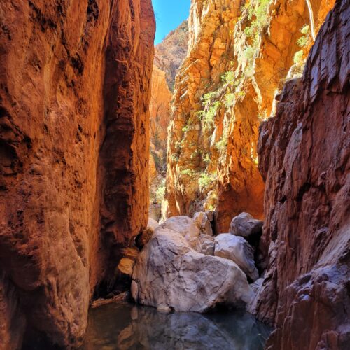 Picture of Standley Chasm in West MacDonnell Nationsl Park