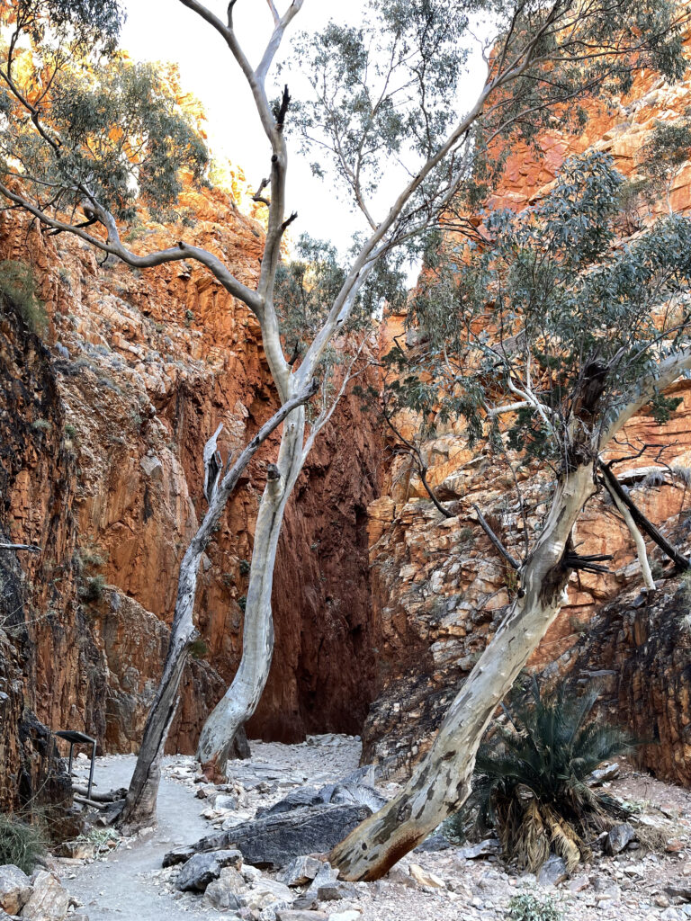 Picture of Entry to Standley Chasm