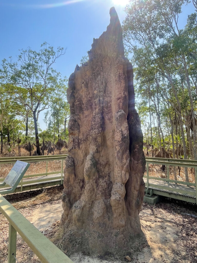 Picture of cathedral termite mound in Litchfield National Park