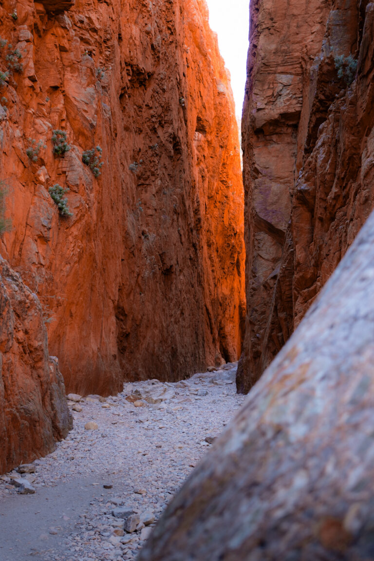 Picture of Standley Chasm