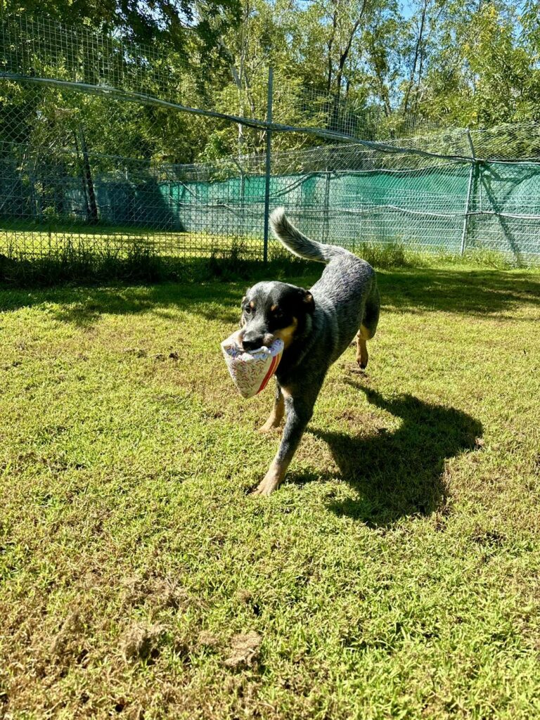 437044293 876584414482788 4028712455847425726 n