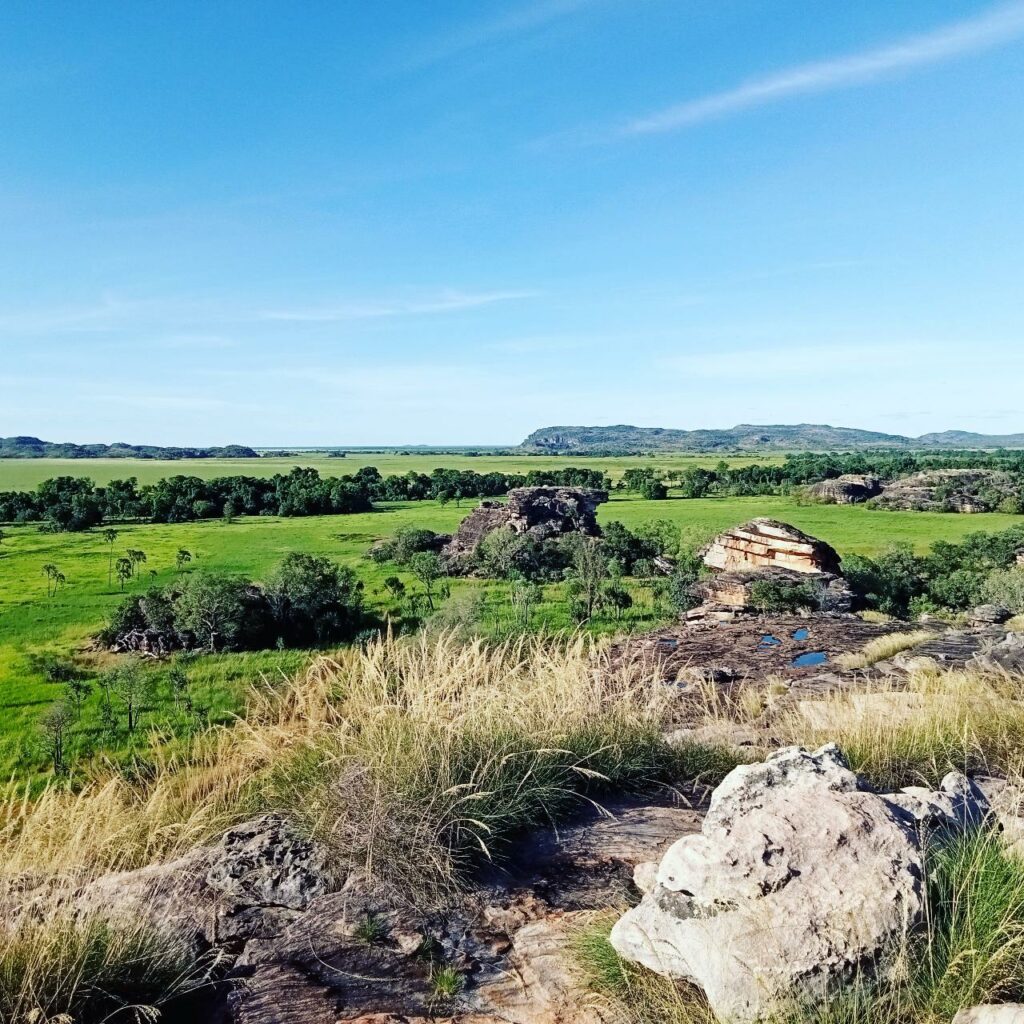 green landscapes and blue skies in Northern Territory