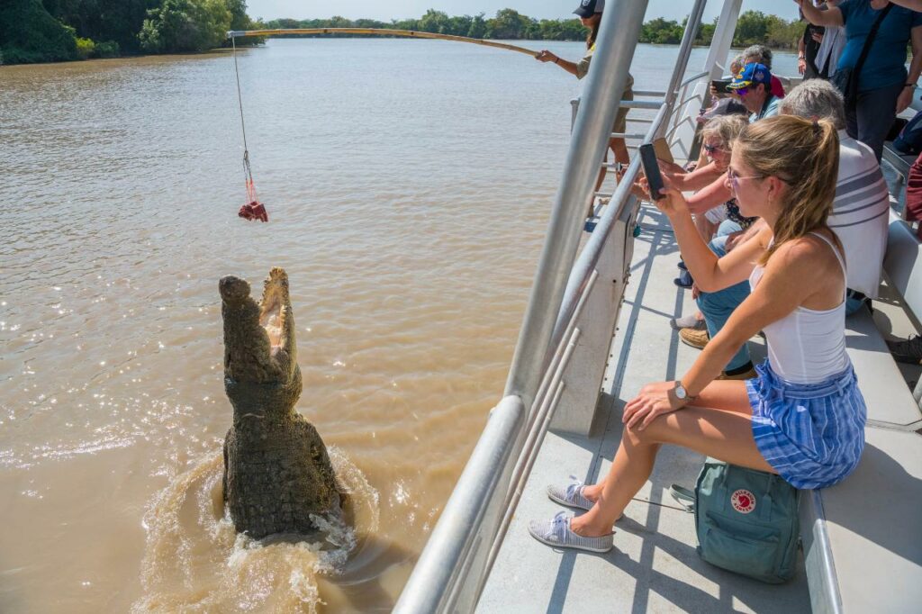 crocodile tour darwin