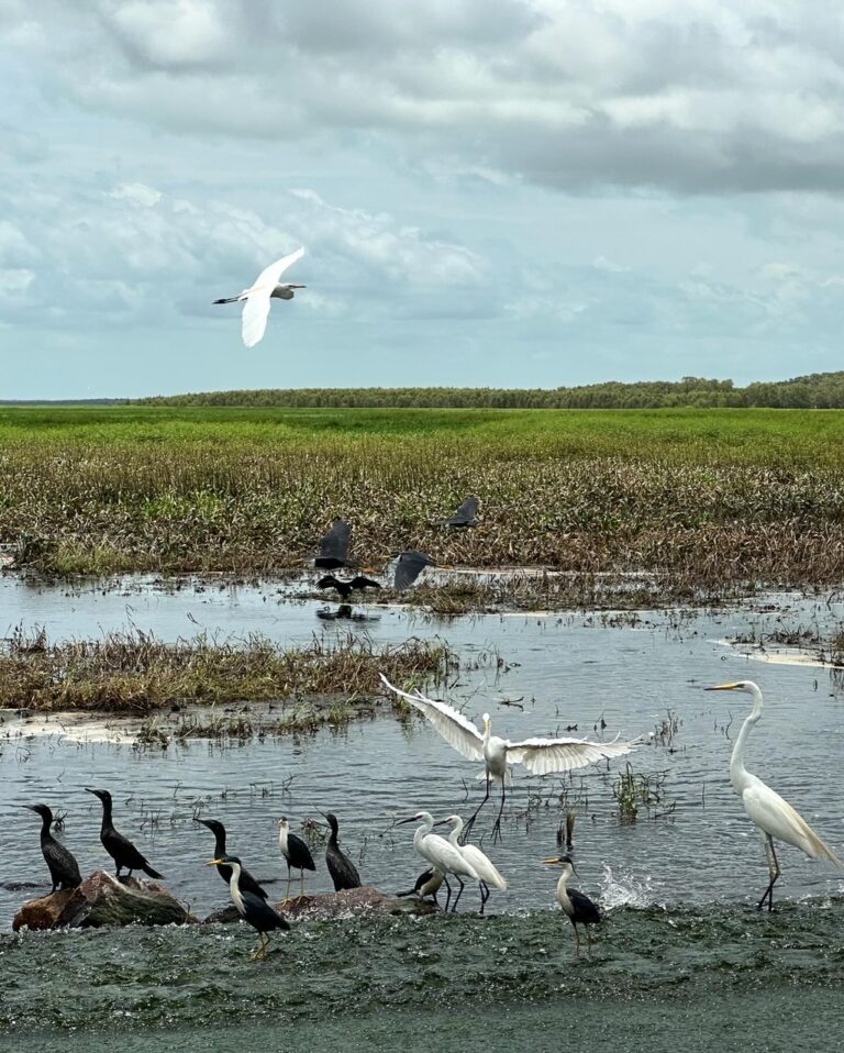 5DDAABC6 3C24 48E3 AF32 DB0FE457569D