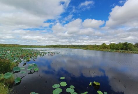 Fogg Dam by @giovannecidade