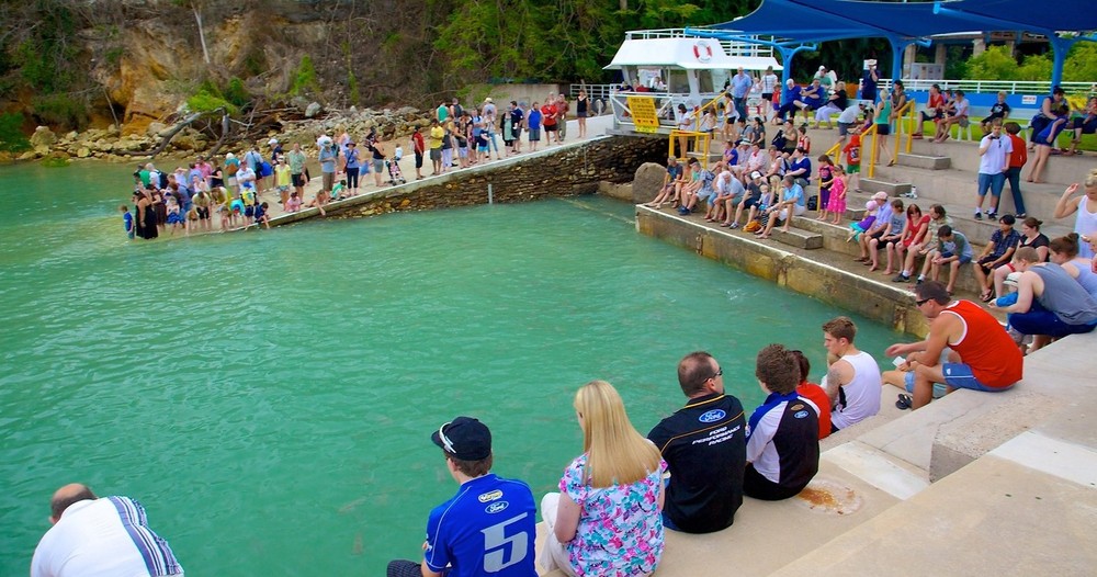 Aquascene Admission-one of the best things to do in Darwin with Toddlers