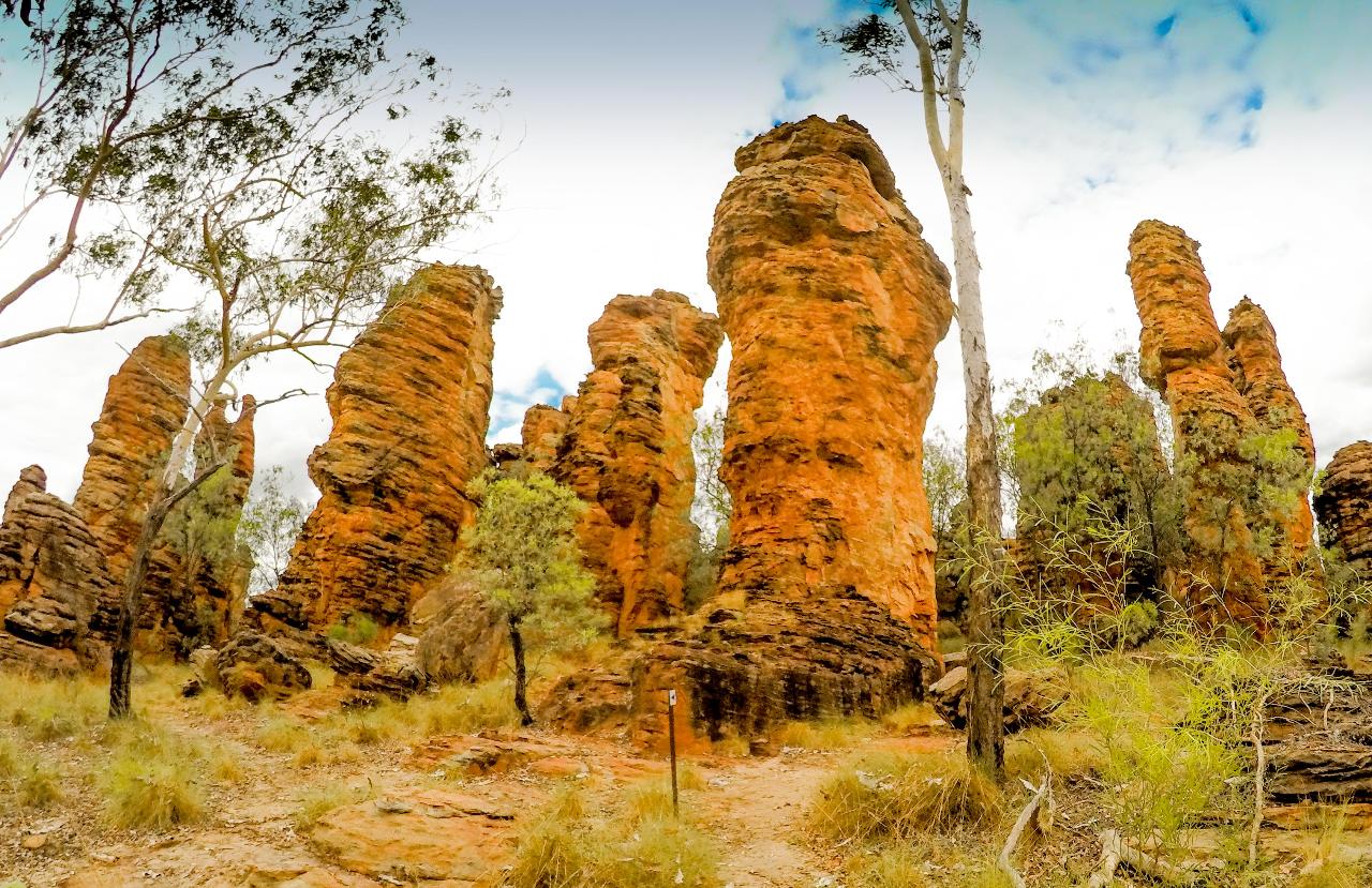 Cairns to Darwin 11 day tour