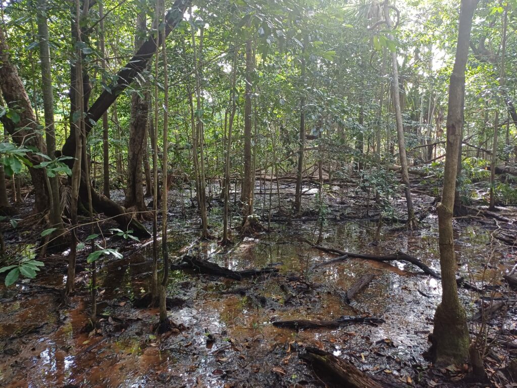 WhatsApp Image 2024 06 21 at 6.52.59 PM