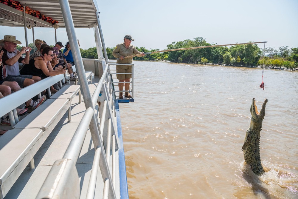 crocodile jumping out of water while tourists on a boat look on
