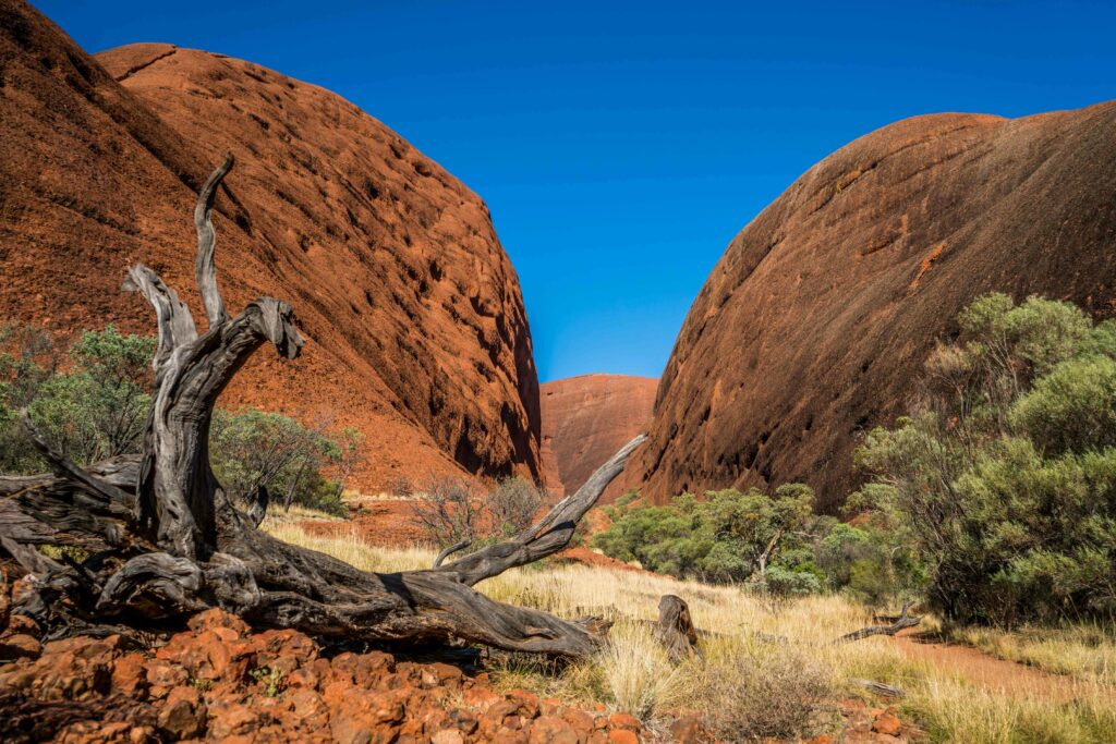 Watarrka National Park landscapes with blue skies
