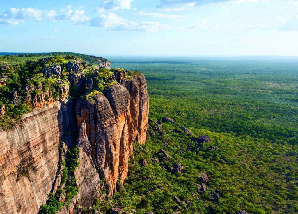 Kakadu in a Day Tour