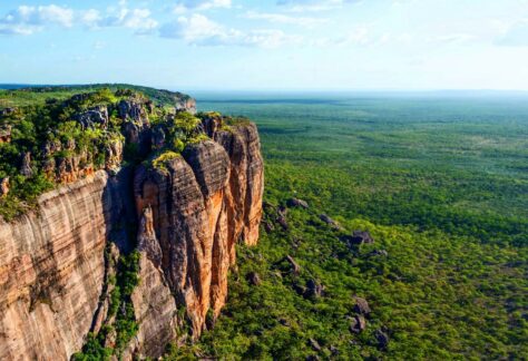 Kakadu in a Day