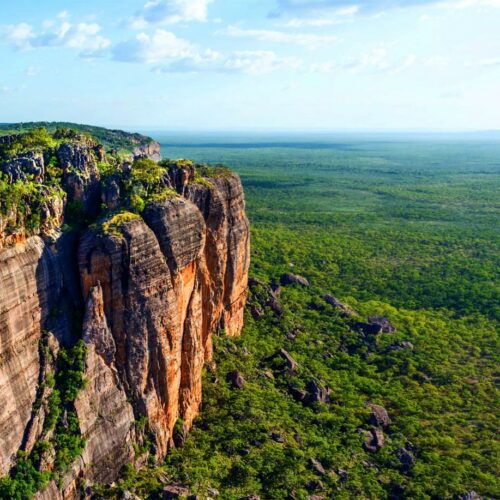 Kakadu in a Day Tour
