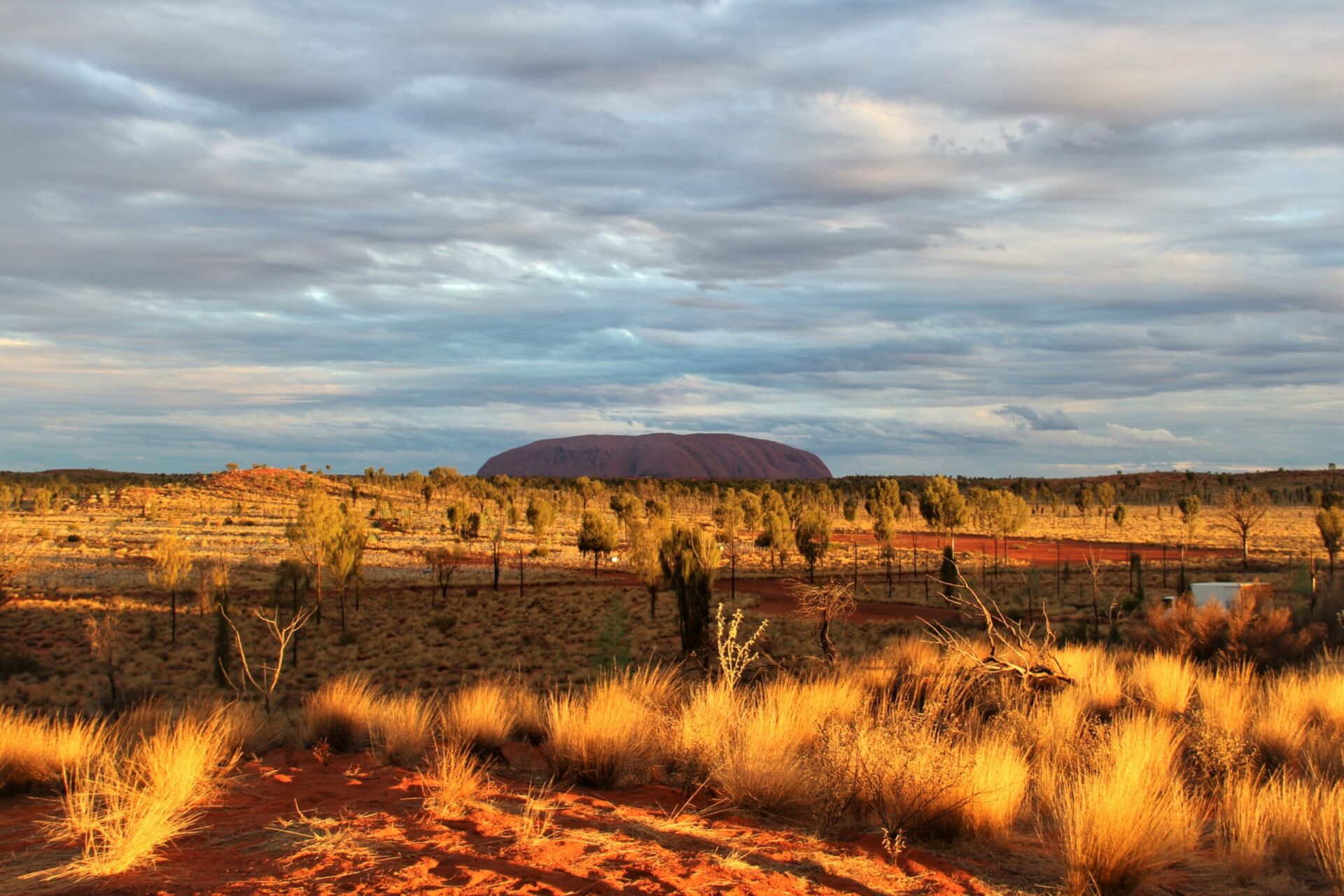 Uluru in the Northern Territory with striking orange landscapes