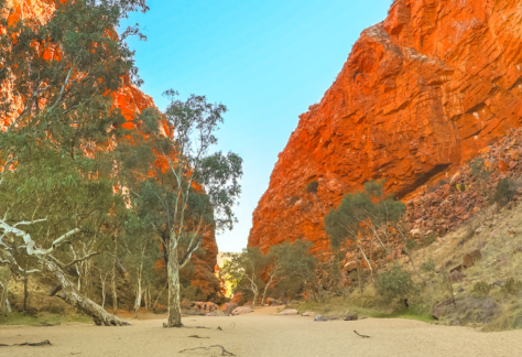 Simpsons gap in West macdonnell National park