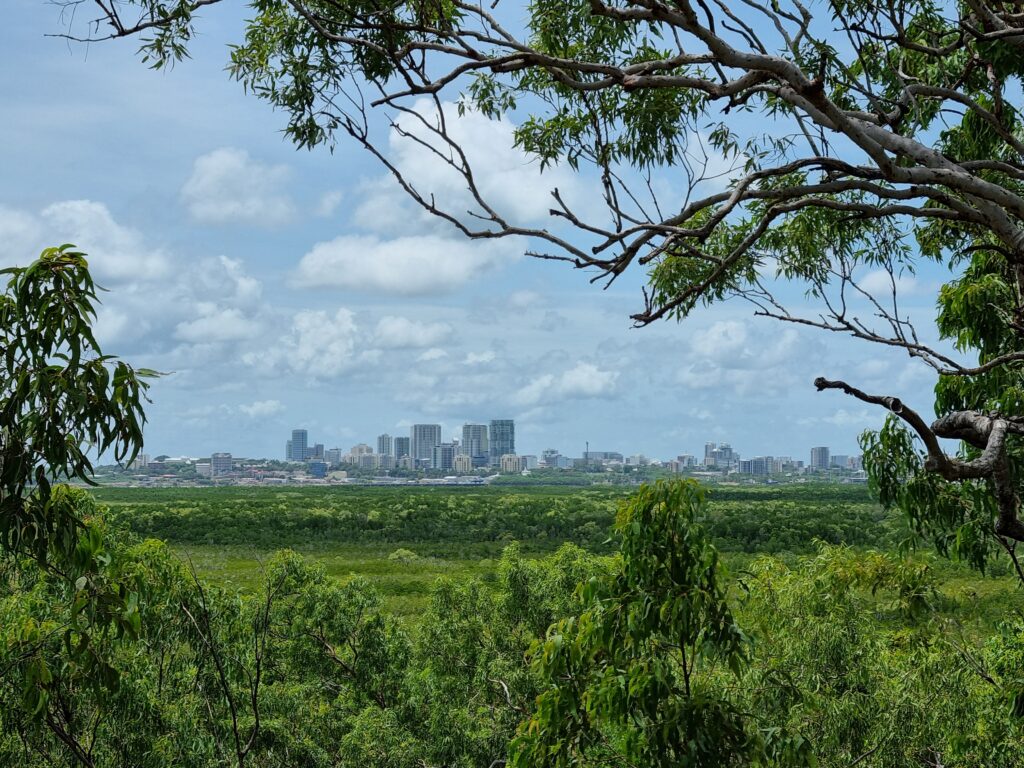 Darwin skyline from CDNP