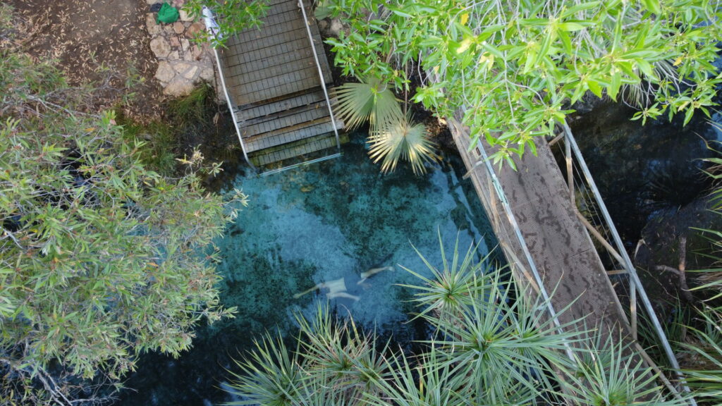 Bitter Springs Thermal Pools