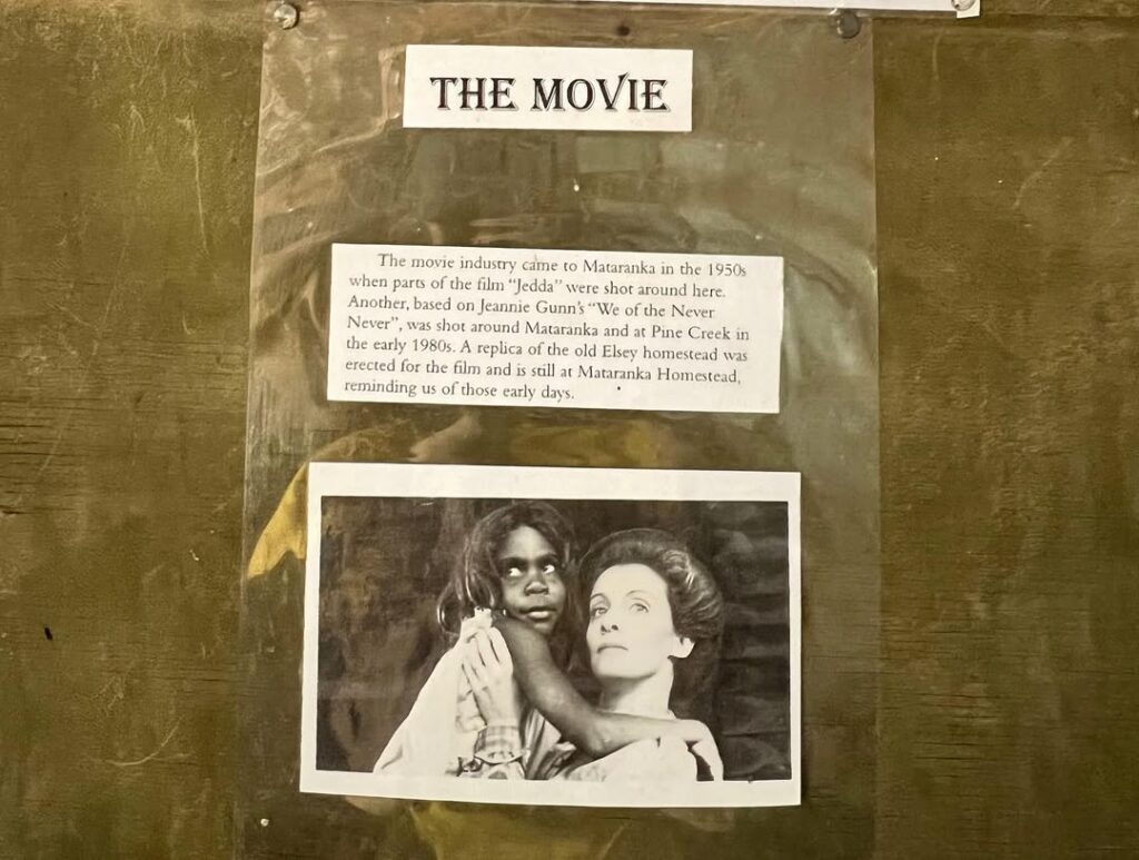 cruisingaroundstraya 4