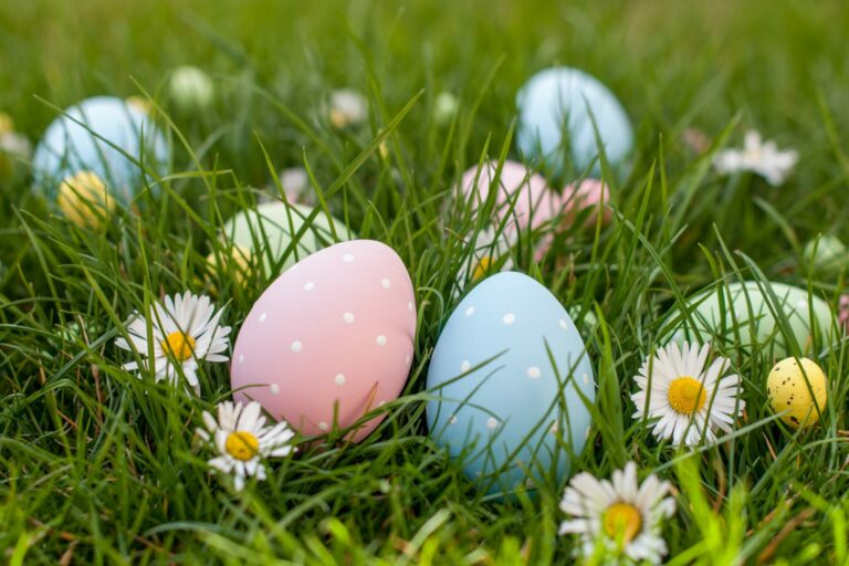 Things to Do in Darwin This Easter Weekend