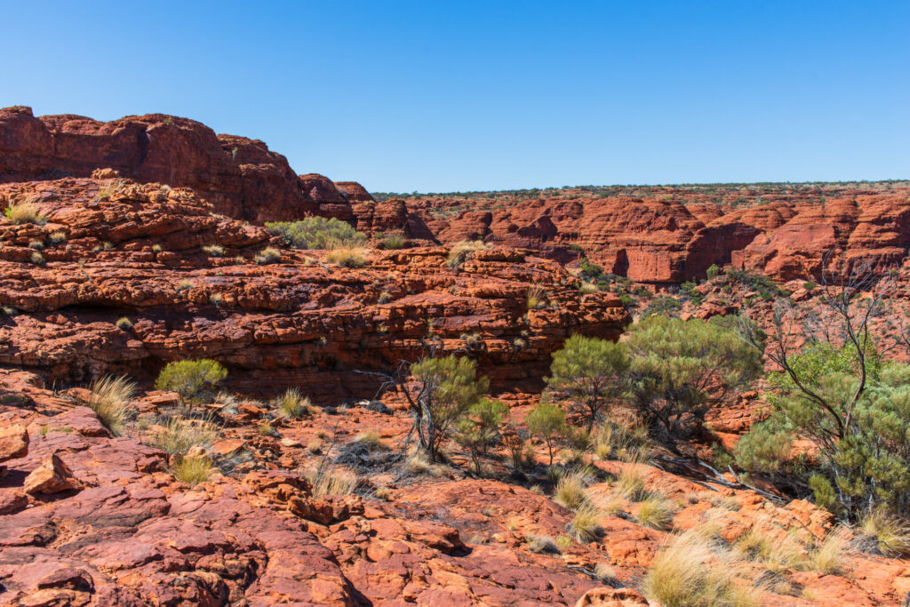 Copy of TORRES SIDVENTURES009