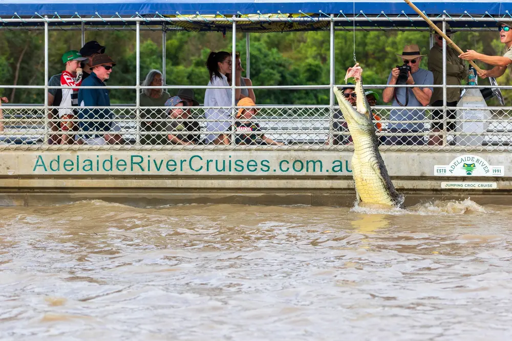 croc cruise