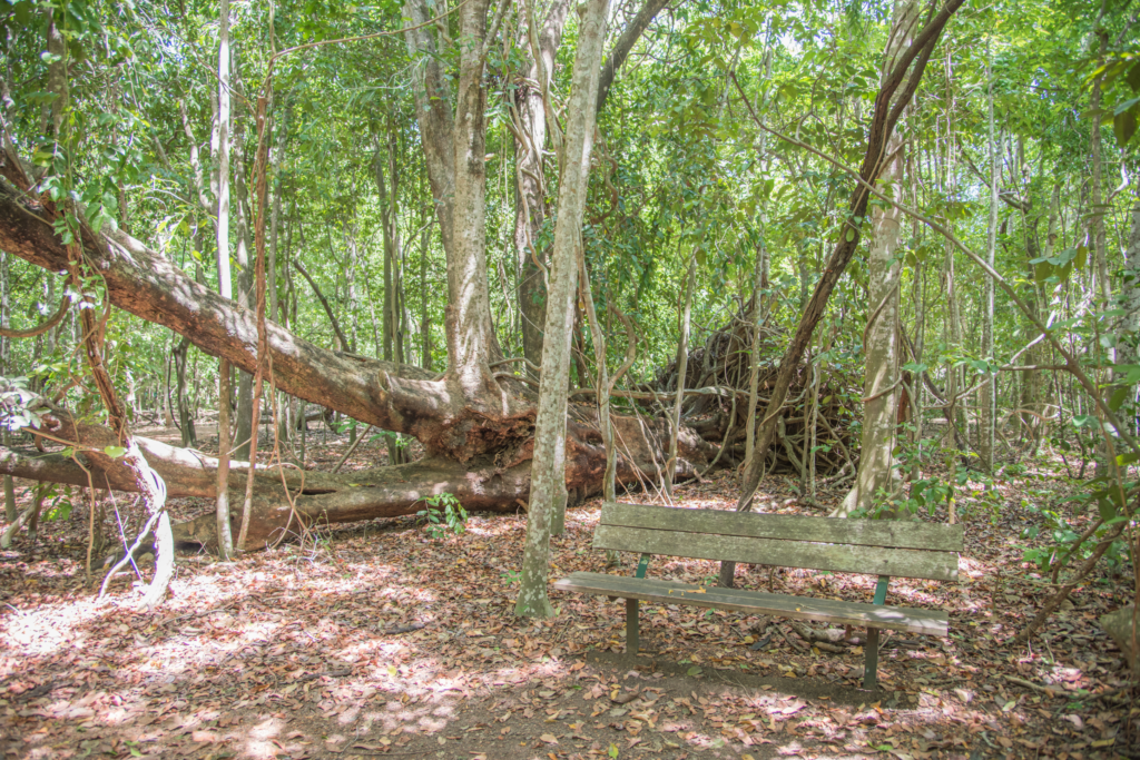 East Point Reserve