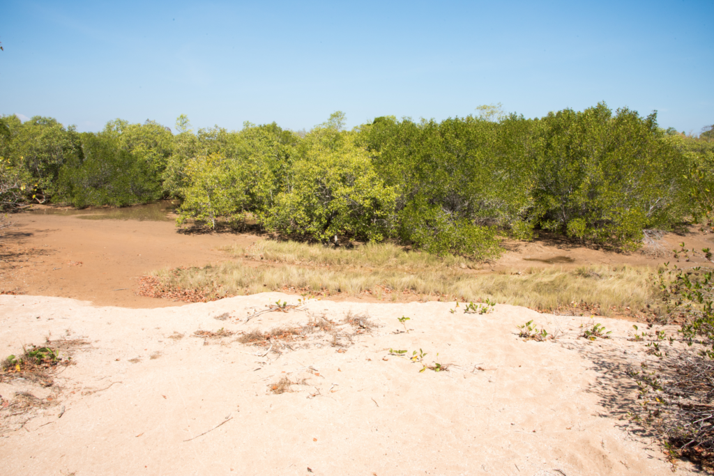 East Point Reserve
