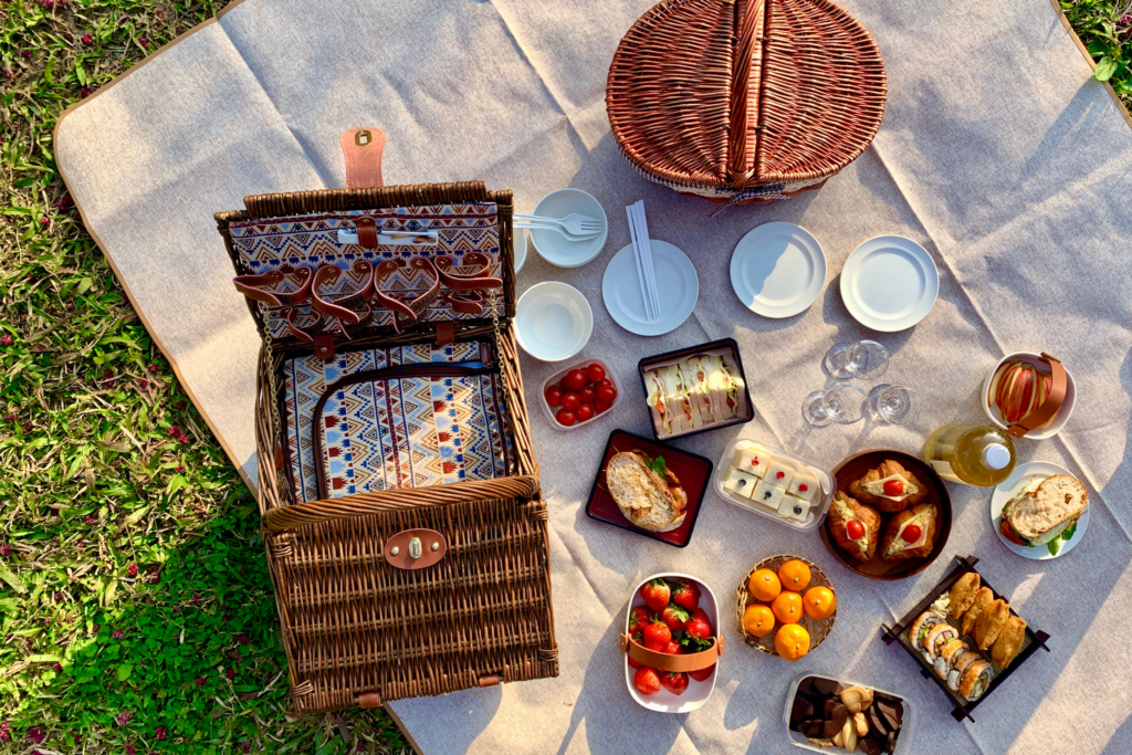picnic in nature