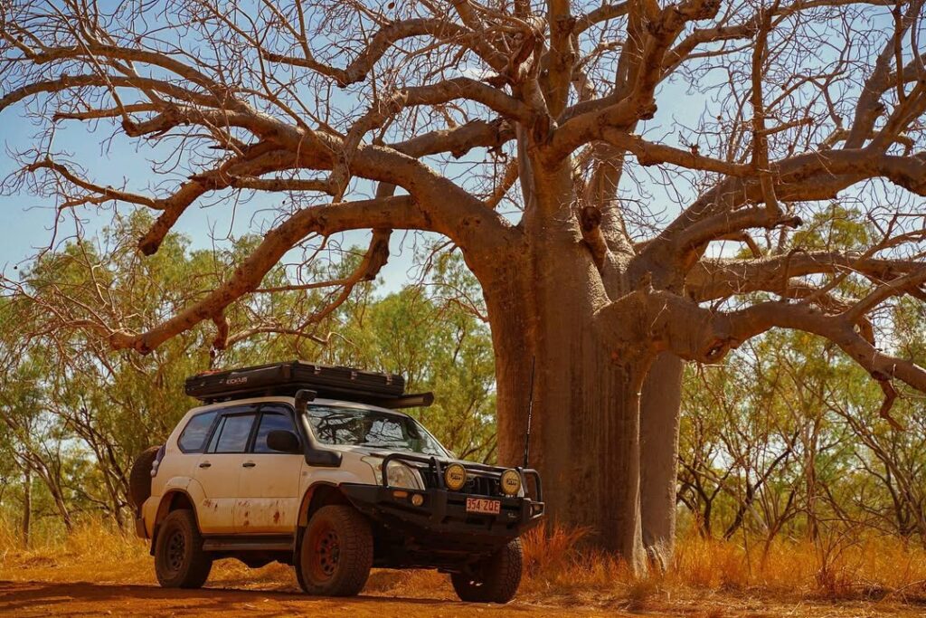 Car parked beside a large boab tree Keep River National Park @75 outback